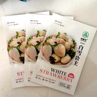 白雪公主草莓苗种子盆栽南北种植当年结果食用牛奶草莓阳台水果苗