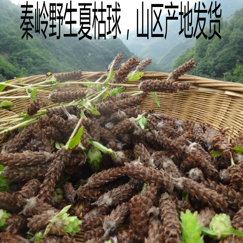 秦岭野生白毛夏枯球茶中药材正品凉茶非夏枯草500g另蒲公英金银花 传统滋补营养品 其他药食同源食品 原图主图