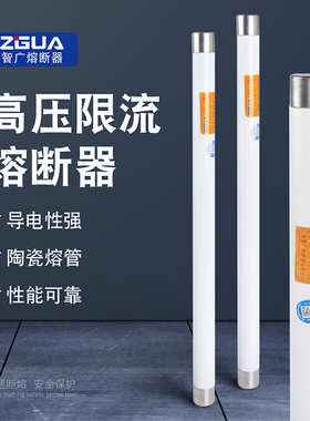 智广高压分断能力限流熔断器PT保险XRNP1-35/40.5KV/0.5A-31.5KA