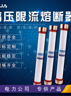 智广高压熔断管RN1RN3-10KV户内高压限流熔断器10A30A50A100A200A