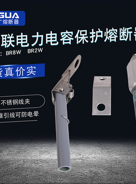 上海智广电力电容器专用高压喷射式熔断器BR8W-750P10A24.48A