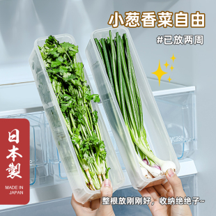 日本进口小葱香菜保鲜盒食品级冰箱芫荽整根保鲜备料葱姜蒜收纳盒