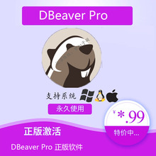 24.0 Ultimate MAC 数据库管理中文含视频 DBeaver WIN 旗舰版