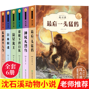 经典 珍藏版 全套6册 儿童文学故事书9一12岁畅销书 沈石溪动物小说系列全集正版 小学生课外阅读书籍三四年级五六年级 读物单本