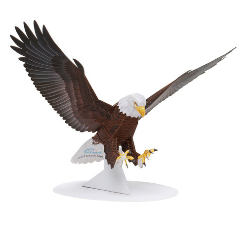 立体手工制作大老鹰白头鹰纸模型