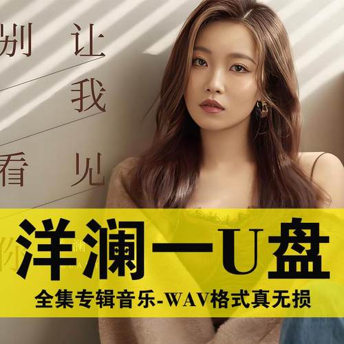 洋澜一专辑U盘发烧歌曲HIFI试音歌曲音乐光盘无损音质车载USB优盘