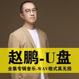 赵鹏U盘专辑全集歌曲无损汽车载高品质音乐优盘HIFI发烧人声碟