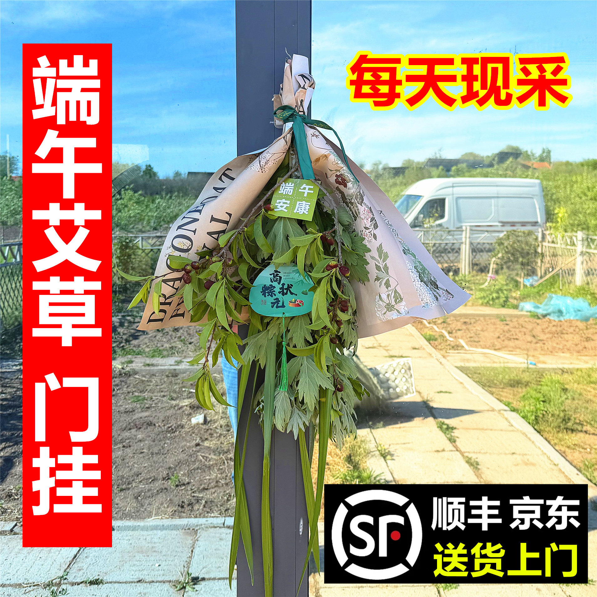 端午节新鲜艾草门挂花束菖蒲挂门窗驱蚊整棵艾草叶挂件装束diy
