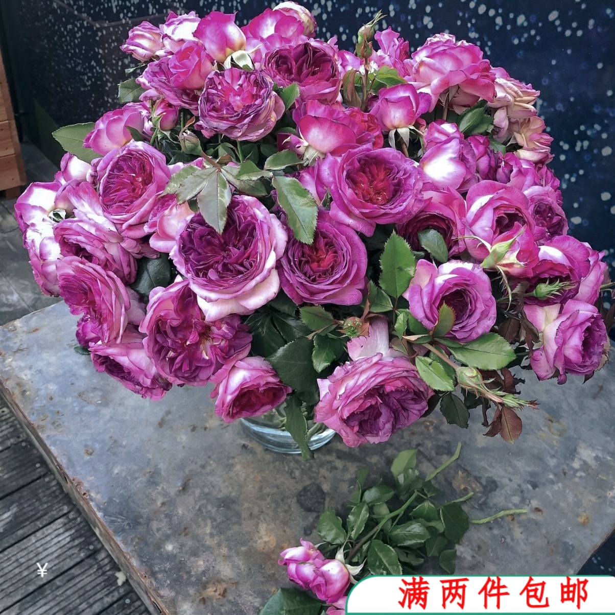 特价【水灵花园】蓝莓蛋糕 戴尔巴德系列大花浓香玫紫红色