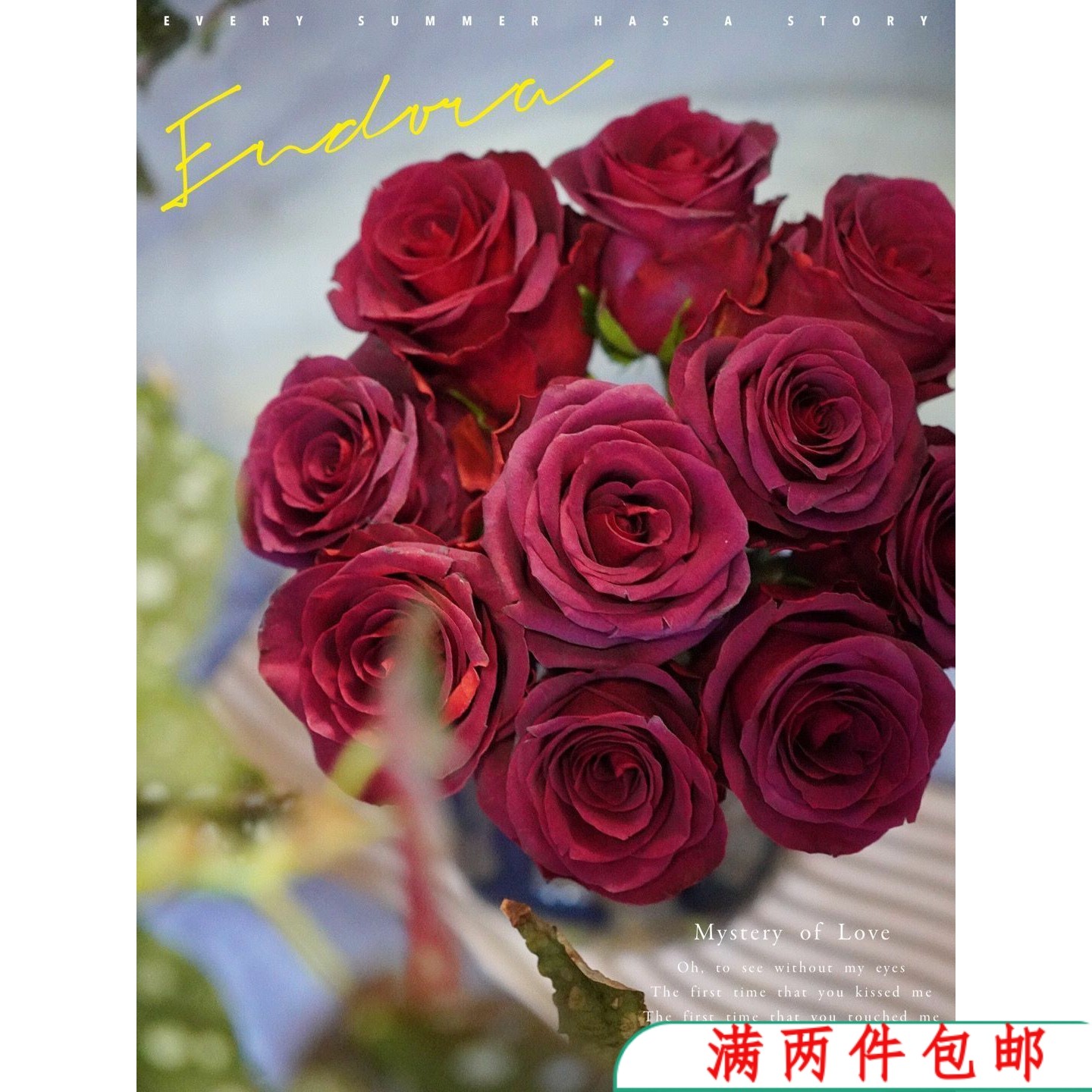 【水灵花园】恩多拉 厄瓜多尔玫瑰月季花苗大花暗红色灌木盆栽植