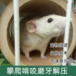 竹洞仓鼠躲避隧道玩具金丝熊造景豚鼠荷兰猪刺猬躲避解闷迷宫避窝