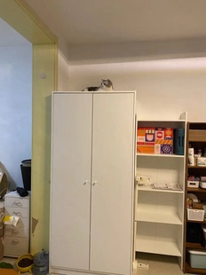 宜家克勒普斯塔双门衣柜白色79x176厘米家用卧室简约现代组装衣橱