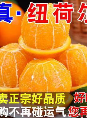 秭归水果水果大个长虹脐橙