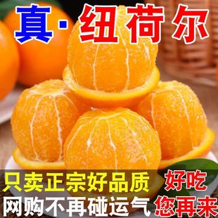 兴山新款中国大陆湖北秭归水果纽荷尔长虹脐橙大个橙子