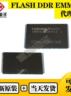 TC58BVG2S0FTA00铠侠/KIOXIA原装512M现货FLASH闪存IC封装TSOP48
