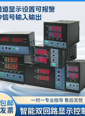 SA/A-A002双回路显示控制仪表调温控器变送表温度报警2通道测控仪