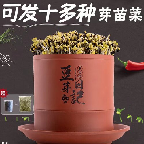 十三年老店脆生清甜紫砂豆芽罐
