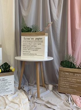 拍照背景道具摆件ins风牛皮纸袋网红摄影直播间布置装饰服装挂布