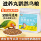 滋养丸鹦鹉鸟粮食饲料专用奖励零食小太阳虎皮牡丹补充营养物无壳
