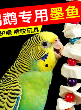 鹦鹉专用墨鱼骨串鸟食脱盐大号