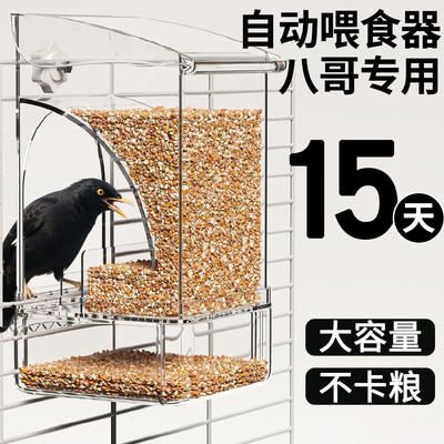 八哥喂食器鹦鹉鸟自动防溅食盒