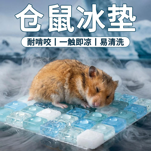 金丝熊仓鼠冰垫夏天降温神器宠物