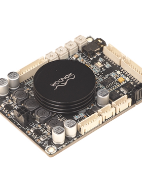 2 x 50W D类音频功率放大器带DSP电子分频 支持Sigmastudio编程