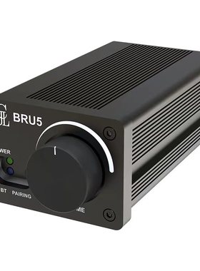 TPA3244 2x100W蓝牙5.3功放机立体声大功率家庭影院BRU5 DSP调音