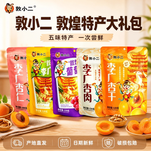 敦小二敦煌特产杏干杏肉礼包纪念