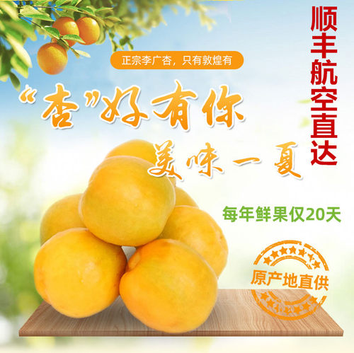 敦煌李广杏4斤装新鲜水果发顺丰