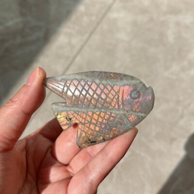 天然拉长石热带鱼11摆件68*49*9mm38g