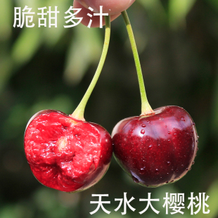 甘肃天水车厘子黑珍珠大樱桃新鲜脆甜爆浆现摘现货产地直发