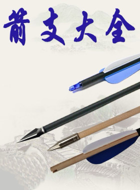 高强度箭支老陈弓坊箭