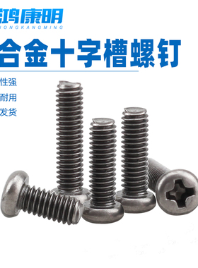 TA2纯钛盘头圆头十字螺丝TA1钛合金螺钉钛螺丝M2M3M4轻质轻量防腐