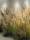Сухие цветы из искусственного тростника, искусственные цветы, скандинавский стиль ins, веранда для гостиной, цветочная композиция, украшение оконных перегородок, озеленение зелеными растениями mini 0
