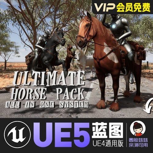 UE5虚幻4终极马匹系统骑乘坐骑动画蓝图Ultimate Horse System