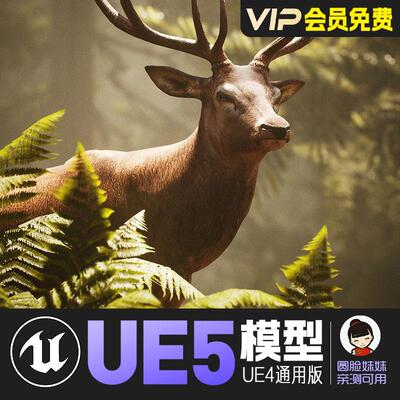 UE5虚幻4_鹿雄性麋鹿动画角色模型 Animalia Red Deer male