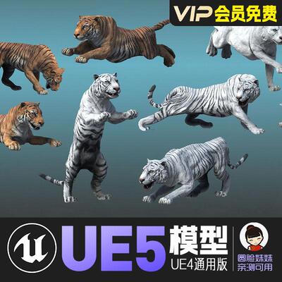 UE5虚幻4_风格化老虎亚洲东北虎动画角色模型Asian Animal Tiger