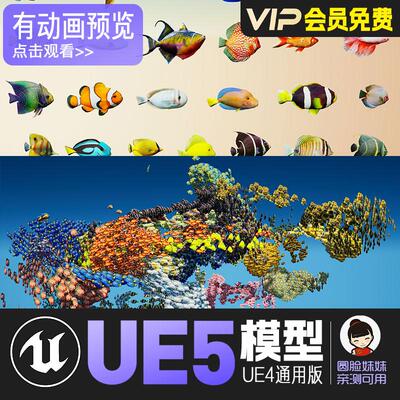 UE4虚幻5_卡通热带精美海洋海底鱼儿模型动作Tropical Fish
