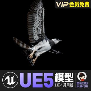 UE5虚幻4_风格化老鹰动画角色模型 Harpy Eagle