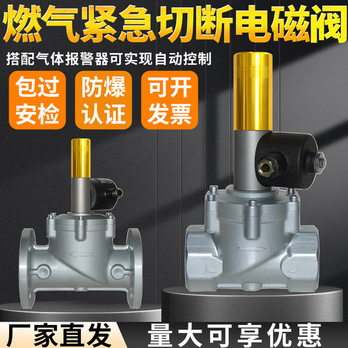 天然气燃气管道电磁式紧急切断阀门DN20/25/32/40/50安信工业商用