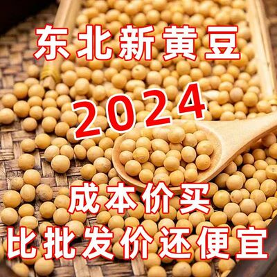 新货黄豆打豆浆专用农家自种黄豆发豆芽煲汤五谷杂粮黄豆非转基因