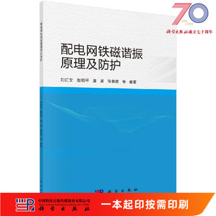[按需印刷]配电网铁磁谐振原理及防护科学出版社