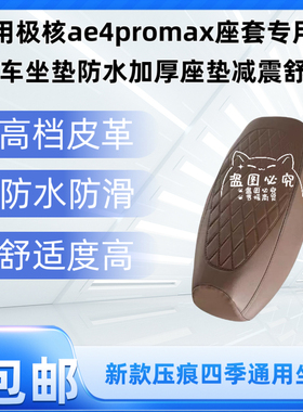适用极核ae4promax座套专用电动车坐垫防水加厚座垫减震舒适
