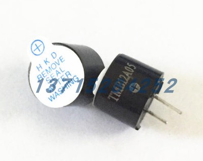 蜂鸣器 TMB12A05  HXD   DIP2  全新原厂原装现货 假一赔十