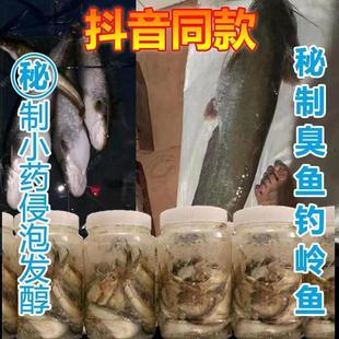 钓胡子江团大口鲶鱼饵料臭鱼臭餐条鱼臭参条鱼瓶装 鲶鱼鲮鱼发酵饵