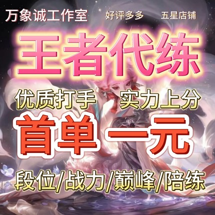 【首单免费】王者陪玩陪练代打大小国标省标车队包赢包上分