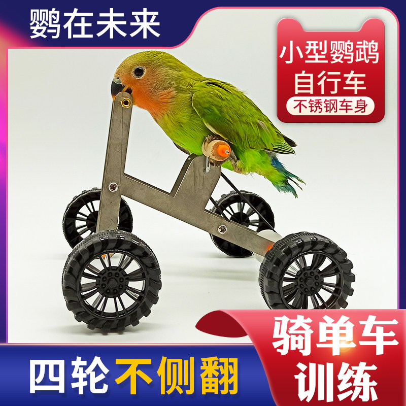 训练道具单车虎皮小型鸟益智鹦鹉