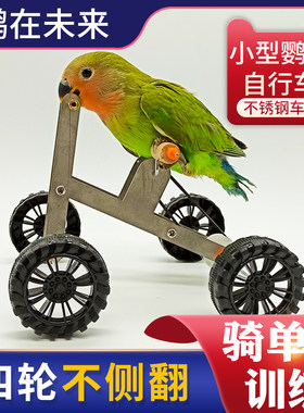 训练道具单车虎皮小型鸟益智鹦鹉