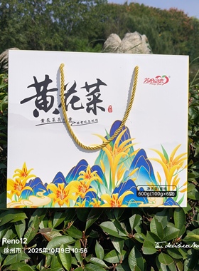 甘肃黄花菜干货金针新鲜无添加自然晾晒下饭菜食用黄花菜礼盒装